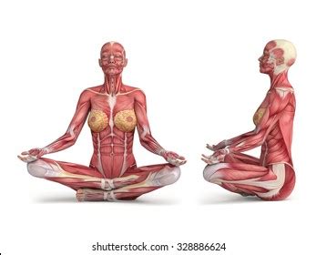 Yoga Pose Naked Images Stock Photos Vectors Shutterstock