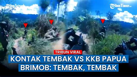 Viral Brimob Vs Kkb Papua Kontak Tembak Jarak Dekat Secara Terbuka