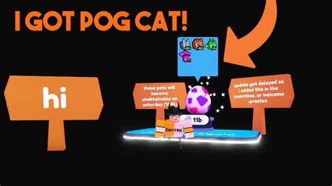 How To Get Pog Cat Pet Simulator X Roblox Youtube