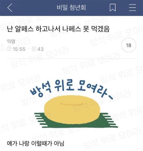 인용구에 있는 핀 웃긴 밈 밈 웃긴