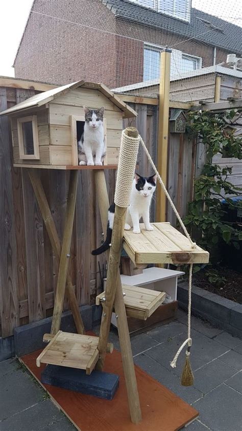 30 DIY Catio Ideas That Are Totally Pawsome Cat Playground Outdoor