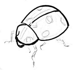 Подробный мастер-класс-как нарисовать божью коровку