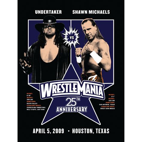 Hbk Vs Undertaker Wrestlemania 25