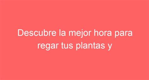 Optimiza El Crecimiento De Tus Plantas Mejor Hora Para Regarlas