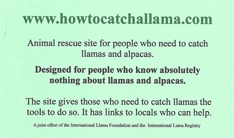 How to Catch a Llama - RMLA - Rocky Mountain Llama and Alpaca Association