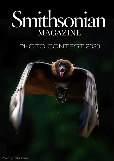 Smithsonian Magazine Photo Contest 2023 Photo Competitions Archive