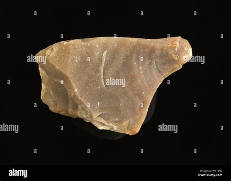 Flint A Hard Sedimentary Rock Texas Usa Stock Photo Alamy