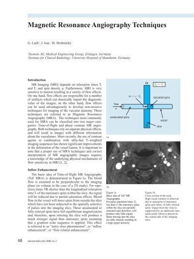 Magnetic Resonance Angiography Techniques