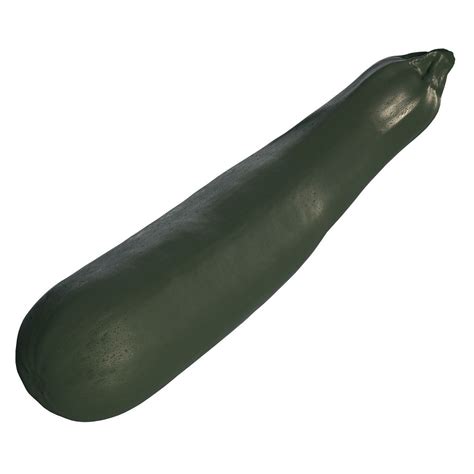 Green Zucchini 4k Scanned 3d Model Cgtrader