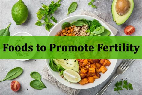 Foods That Increase Fertility Daily Bloger Foods For Fertility