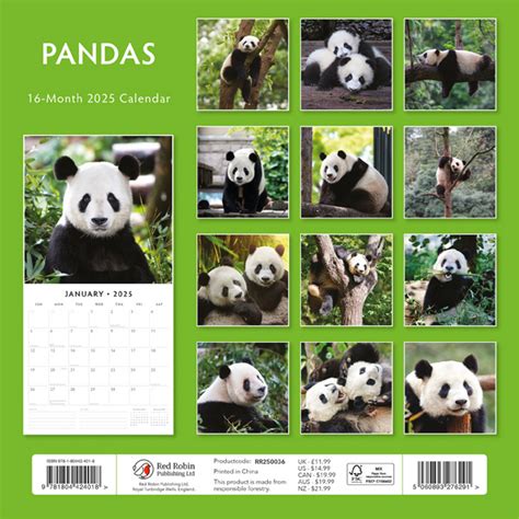 Panda Kalender Kopen Eenvoudig En Snel Online Besteld