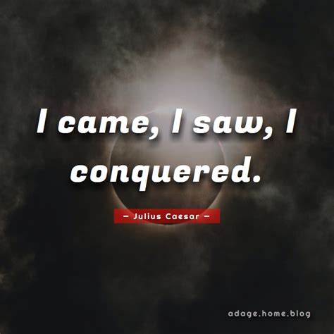 I Came I Saw I Conquered Adage Home Blog