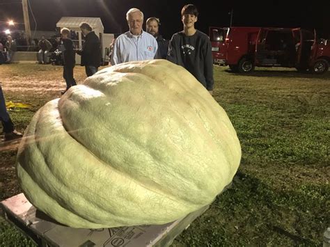 How To Grow A Giant Pumpkin The Old Farmer S Almanac