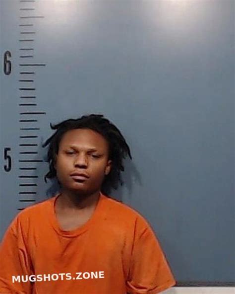 Mcbride Terrian Anthony Wayne 12302022 Taylor County Mugshots Zone