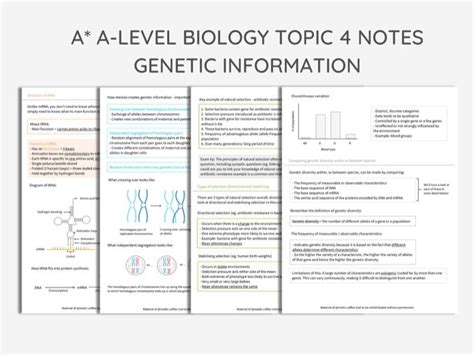 A Aqa A Level Biology Topic Revision Notes Genetic Information And