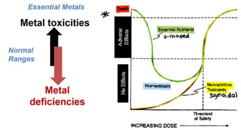 Metal Toxicity Flashcards Quizlet