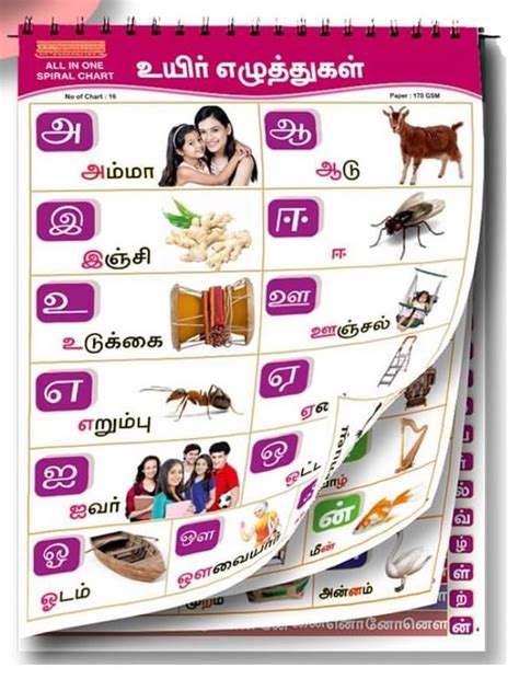 Buy Tamil Chart For Kids 16 Charts 37 X 48 Cm Spiral Wall Chart