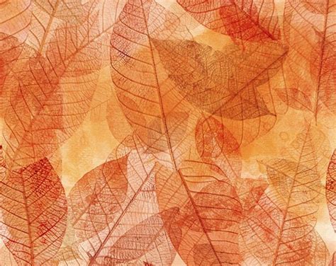 Leaves From The Reflections Of Autumn II Collection By Jason Yenter For