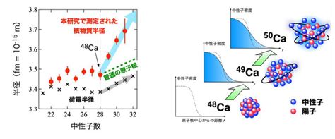 Anomalous Enhancement Of The Nuclear Size In Ca Isotopes ResOU