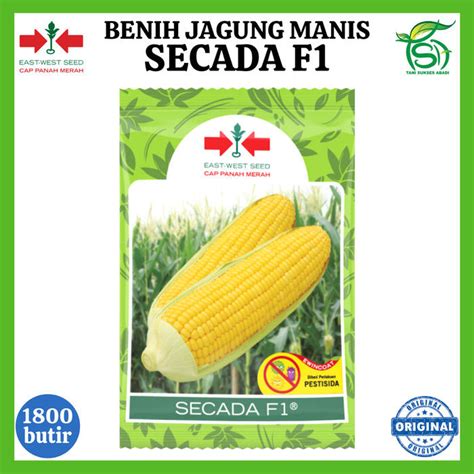 Benih Jagung Manis Secada F Biji Bibit Cap Panah Merah Lazada