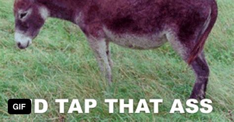 I D Tap That Ass Gag