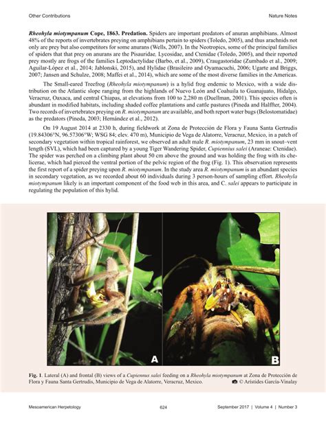 PDF Rheohyla Miotympanum Predation