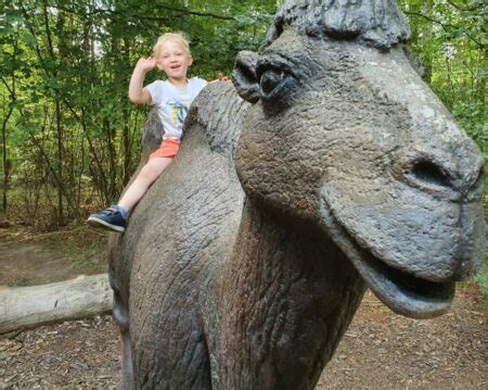 Tierpark Cottbus Nachrichten Aus S Dbrandenburg