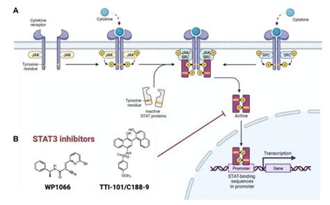 Figure 1 [IMAGE] | EurekAlert! Science News Releases