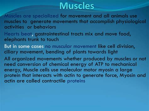 SOLUTION: Muscles structure and function - Studypool