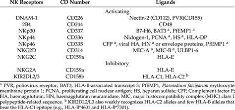 Main inhibitory and activating NK cell receptors and their cognate ... 