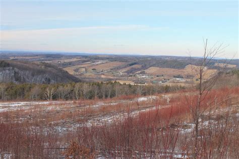 Cole Hill State Forest Andy Arthur Org