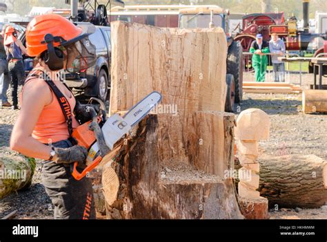 Woman Uses A Stihl Chainsaw To Carve A Tree Trunk Into A Garden Stock