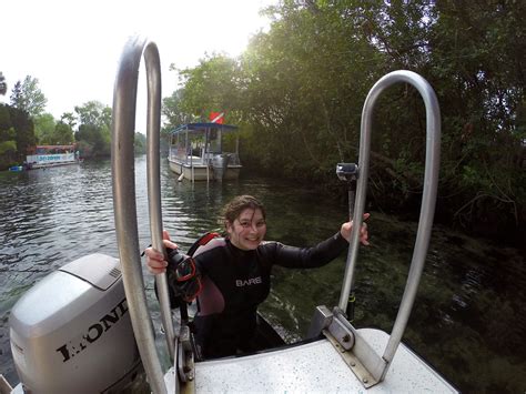 What it's Like to Swim with Manatees in Crystal River, Florida