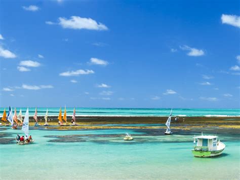 Melhores Coisas Para Fazer Em Porto De Galinhas Quais As