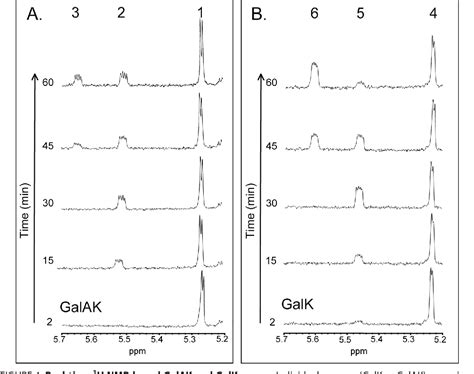 Figure From Identification Of Galacturonic Acid Phosphate Kinase A