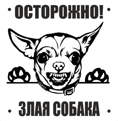 Табличка "Осторожно злая собака, чихуахуа" 200*200мм. , 20 см, 20 см ...
