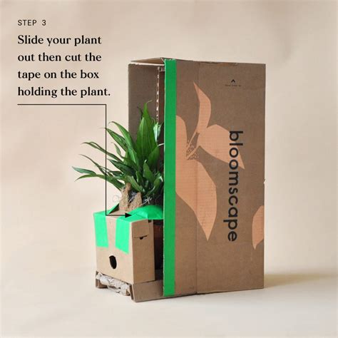 Welcoming Your New Plant Home | Bloomscape