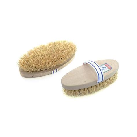 Brosse De Pansage Chiendent Dos Bois Umbria