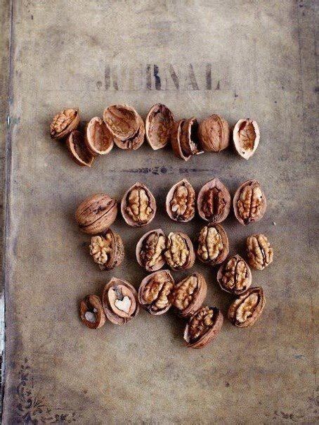 Раскрываем 5 основных полезных свойств грецких орехов! | lera_parmezan ...