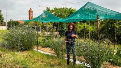 Bosco Di Ogigia Permacultura Orto E Ambiente