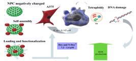 Scielo Brasil Improved Antiproliferative Activity Of Doxorubicin