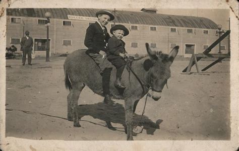 Boys Riding Donkey Donkeys Postcard