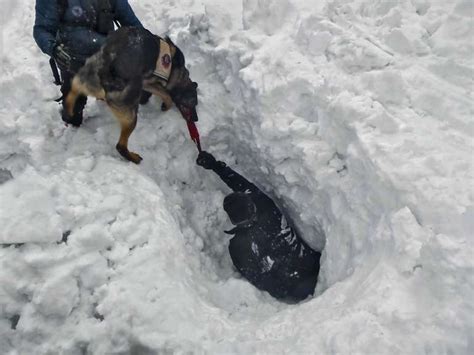 Lavína - Fotografie zdarma na stiahnutie | FotkyZadarmo.sk
