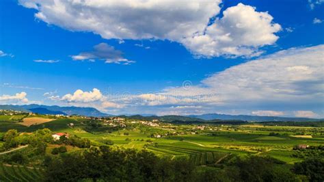 The Beautiful Vineyard Of Collio Friuli Venezia Giulia Italy Stock