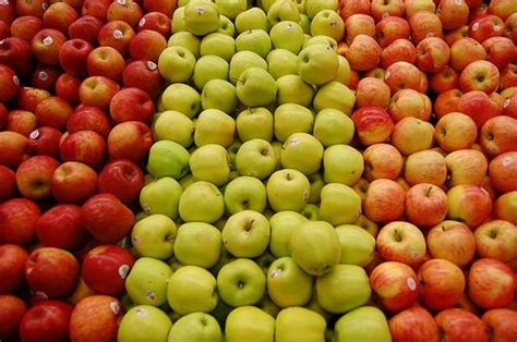 apple fruit products,Malaysia apple fruit supplier