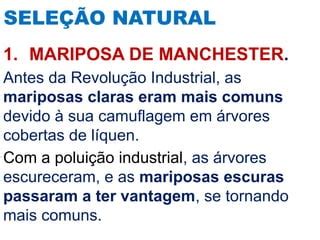 Mariposas De Manchester - 2 AULA PROCESSOS DE EVOLUÇÃO etologia.pptx