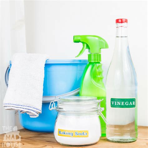 Green Cleaning Tips & Polti Moppy Review | Eco-Friendly Cleaning Solution