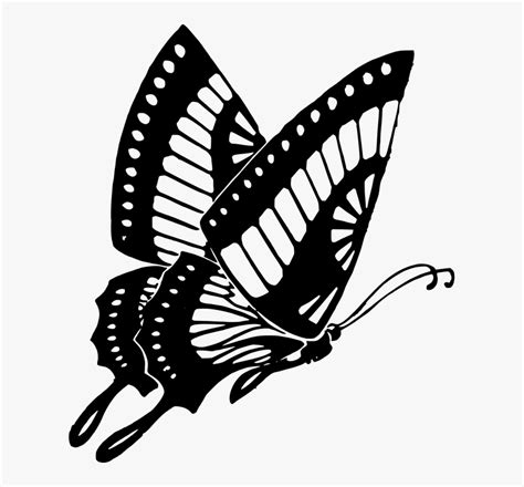 Butterfly Black Black And White Butterfly Clip Art - Butterfly Clipart ...