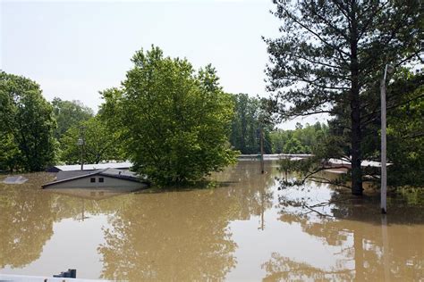 Mississippi River floods, 2011 Photograph by Science Photo Library - Pixels