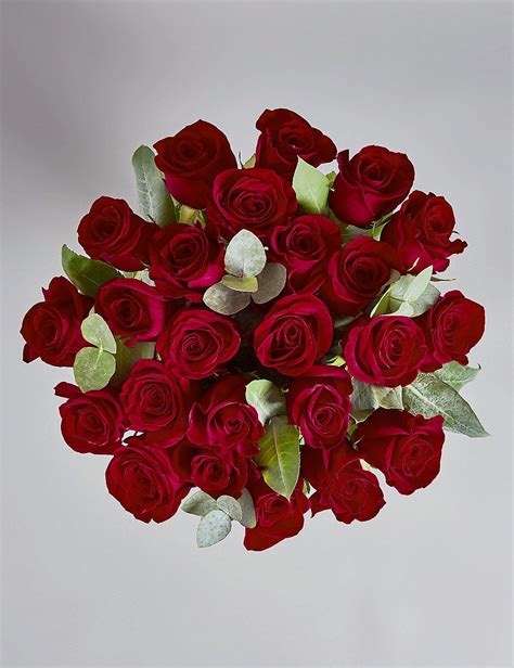 Two Dozen Freedom™ Roses Bouquet Collection Mands Rose Bouquet Red